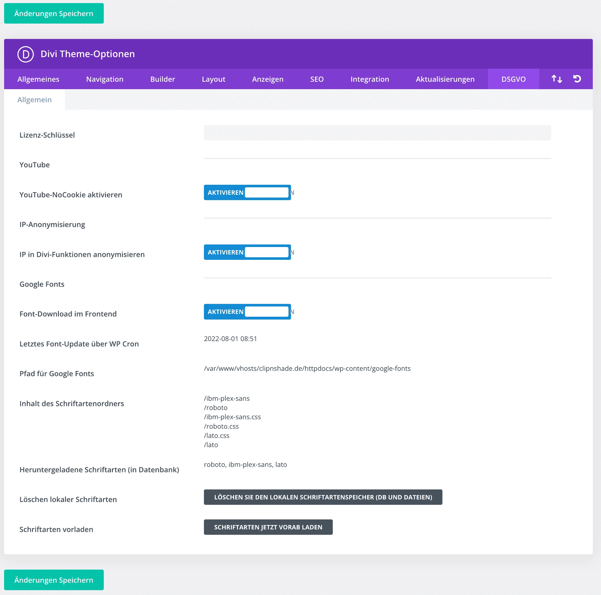 Divi GDPR & Google Fonts - Settings